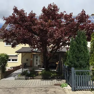 Apartmentvermietung Ingrid Bolkart - Voehlino 2 Aparthotel